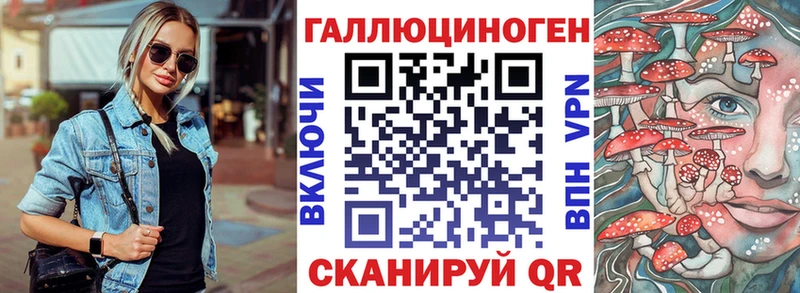 Купить где  Дедовск  Псилоцибиновые грибы Cubensis 